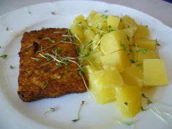 Kartoffeln, jap. Bratfilet, Kresse