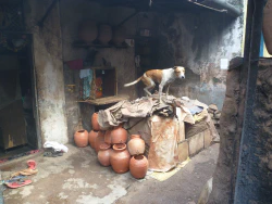 Strassenhund in der Slum-Toepferei