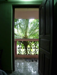 Kokospalme vorm Fenster :)