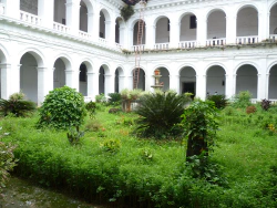 Garten in der Church of St. Francis of Assisi