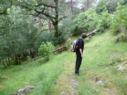 hier begann der Pfad, also der Aufstieg (von der falschen Seite) zum Torc Mountain