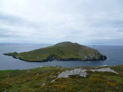 Dursey Island